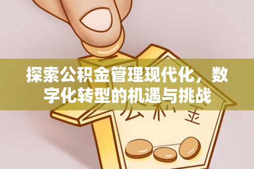 博野探索公积金管理现代化，数字化转型的机遇与挑战