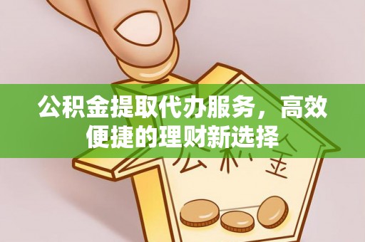 博野公积金提取代办服务，高效便捷的理财新选择