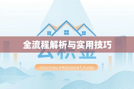 博野全流程解析与实用技巧