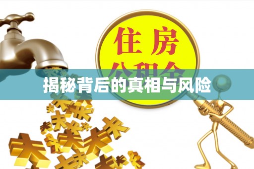 博野揭秘背后的真相与风险