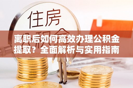 博野离职后如何高效办理公积金提取？全面解析与实用指南