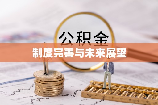 博野制度完善与未来展望