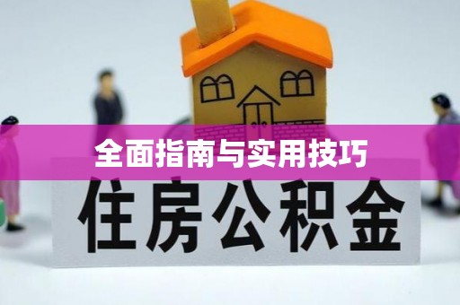 博野全面指南与实用技巧