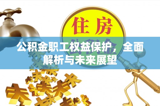 博野公积金职工权益保护，全面解析与未来展望