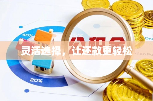 博野灵活选择，让还款更轻松