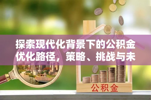 博野探索现代化背景下的公积金优化路径，策略、挑战与未来展望