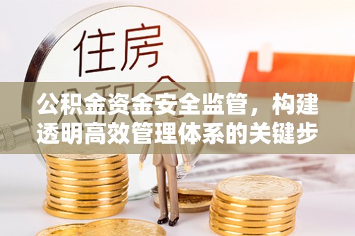 博野公积金资金安全监管，构建透明高效管理体系的关键步骤