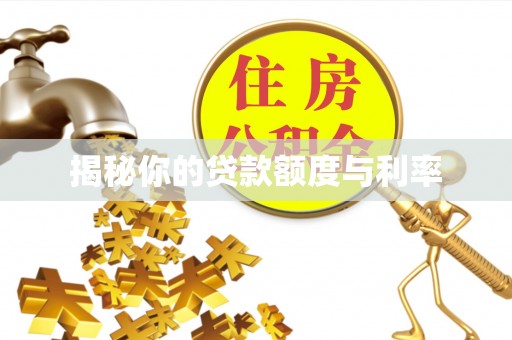 博野揭秘你的贷款额度与利率