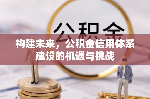 博野构建未来，公积金信用体系建设的机遇与挑战