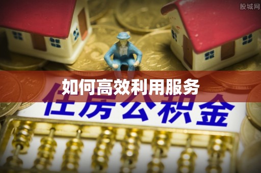 博野如何高效利用服务