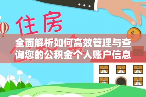 博野全面解析如何高效管理与查询您的公积金个人账户信息
