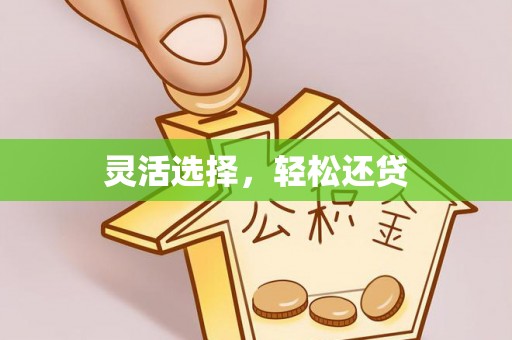 博野灵活选择，轻松还贷