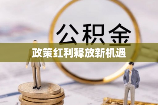 博野政策红利释放新机遇