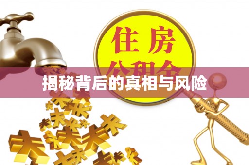 博野揭秘背后的真相与风险