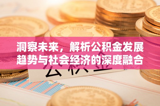 博野洞察未来，解析公积金发展趋势与社会经济的深度融合