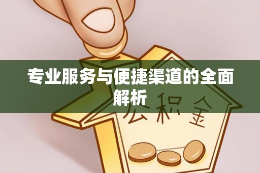 博野专业服务与便捷渠道的全面解析