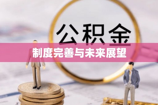 博野制度完善与未来展望