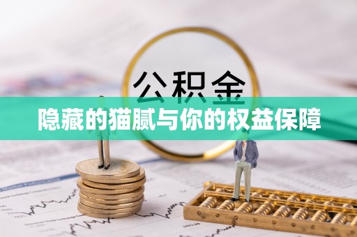 博野隐藏的猫腻与你的权益保障