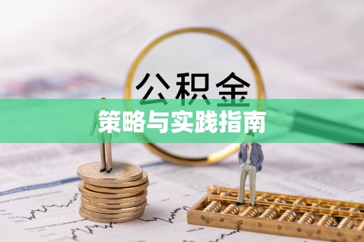 博野策略与实践指南