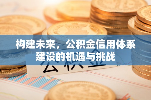 博野构建未来，公积金信用体系建设的机遇与挑战