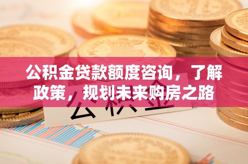 博野公积金贷款额度咨询，了解政策，规划未来购房之路