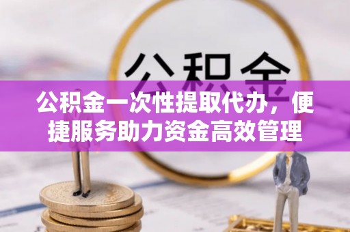 博野公积金一次性提取代办，便捷服务助力资金高效管理