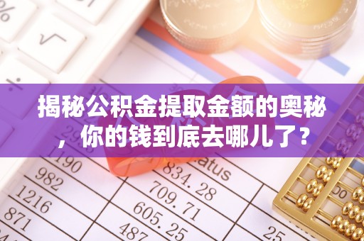 博野揭秘公积金提取金额的奥秘，你的钱到底去哪儿了？
