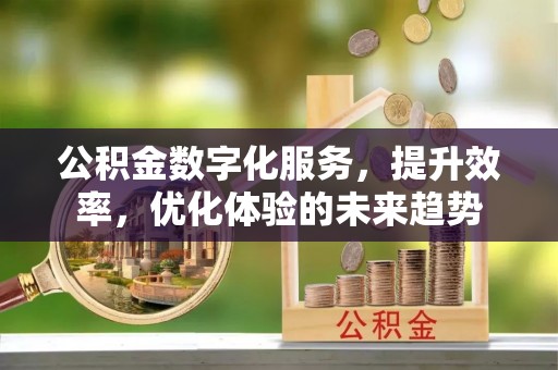 博野公积金数字化服务，提升效率，优化体验的未来趋势