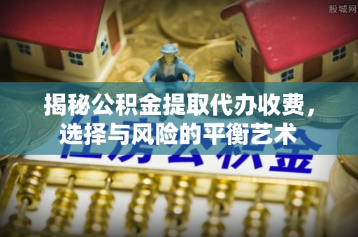 博野揭秘公积金提取代办收费，选择与风险的平衡艺术