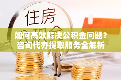 博野如何高效解决公积金问题？咨询代办提取服务全解析
